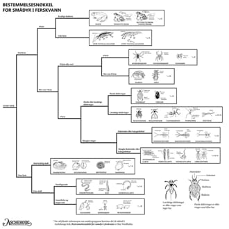 Smådyr i ferskvann, bestemmelsesduk