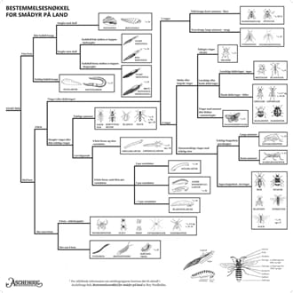 Smådyr på land, bestemmelsesduk