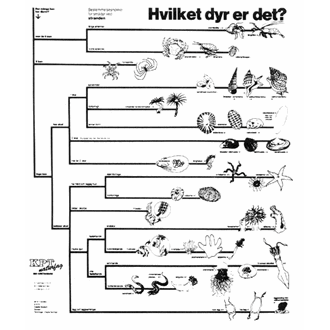 Smådyr ved stranden, bestemmelsesduk