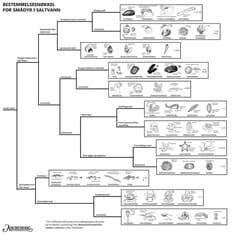 Smådyr i saltvann, bestemmelsesduk