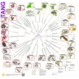 Tang, bestemmelsesduk, med farge