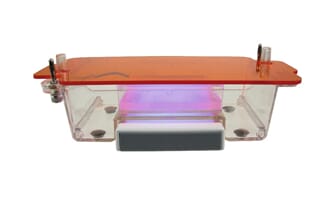 Transilluminator