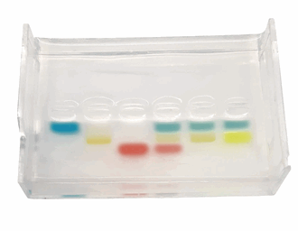 Startsett i elektroforese inkl. agarose og buffer