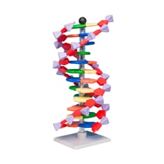 DNA-byggesett, 12 lag, Molymod