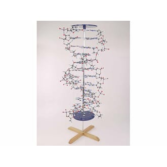 DNA-modell, byggesett med stativ