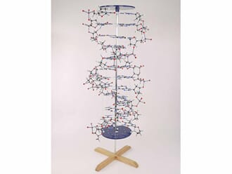DNA-modell, byggesett, høyde 85 cm