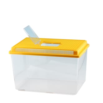 Akvarium/terrarium i plast, 20 L