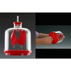 Lunge, funksjonsmodell