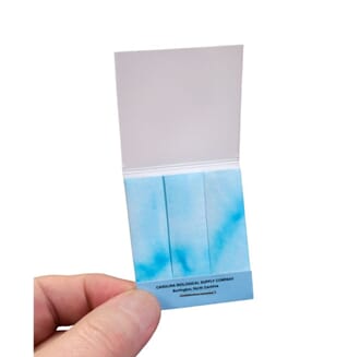 PTC-papir, 100 strips