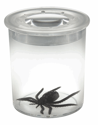 Linseboks med skala, 5x