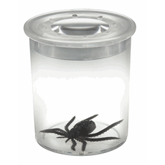 Linseboks med skala, 5x