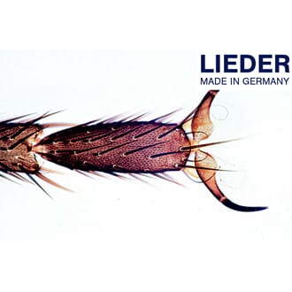 Mikropreparatsett, grunnsett for skole, Lieder