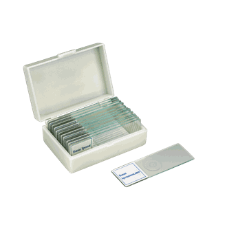 Mikropreparatsett, sædceller, 15 stk