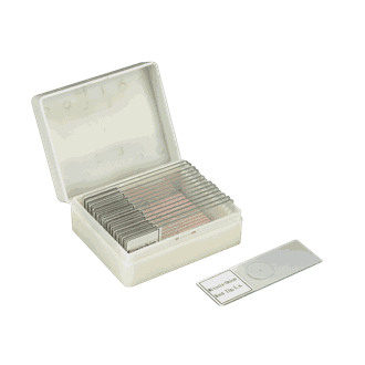 Mikropreparater, mitose, 15 stk