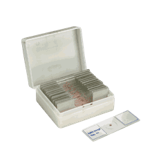 Mikropreparatsett, arterie og vene, 15 stk