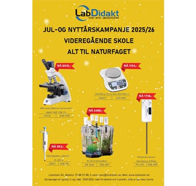 VIDEREGÅENDE SKOLE_1.jpg