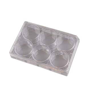 Reaksjonsbrett, 6 brønner