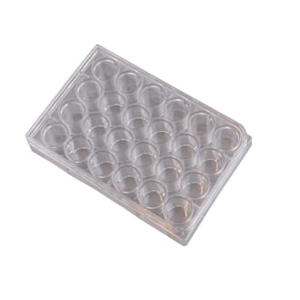 Reaksjonsbrett, 24 brønner