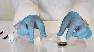 Påvisning av karbondioksid med kalkvann