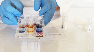 Testing av skolens indikatorer