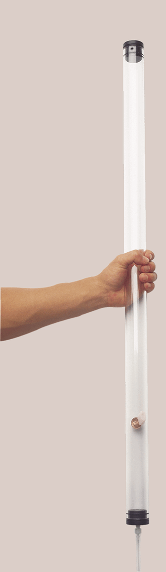 Coin and Feather Tube