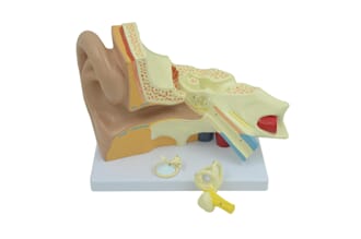 Øremodell, 3 deler, 3x forstørrelse