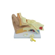 Øremodell, 3 deler, 3x forstørrelse