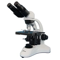 Mikroskop Fokus binokulært