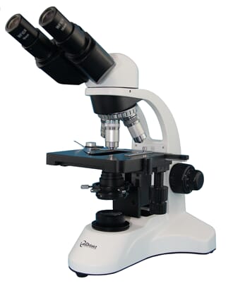 Mikroskop Fokus binokulært