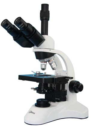 Mikroskop Fokus trinokulært