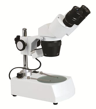 Stereolupe 40B, 10x/30x