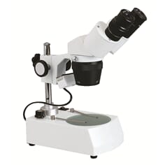 Stereolupe 40C, 20x/40x